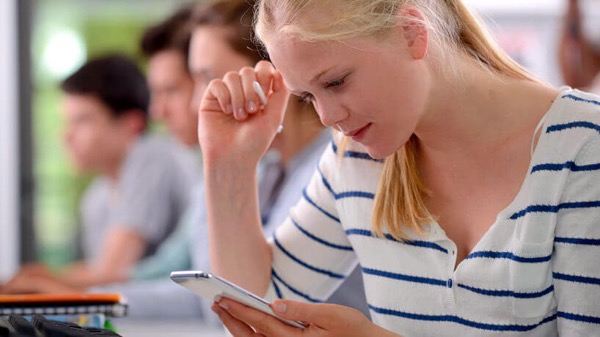 Білінгвальна освіта у курсі старшої школи