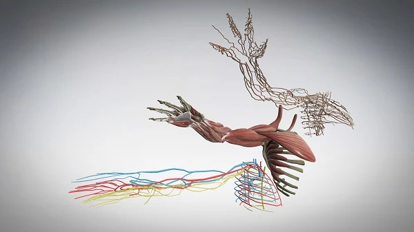 Інструменти вивчення природничих наук – база всієї освіти Інструменти вивчення природничих наук – база всієї освіти