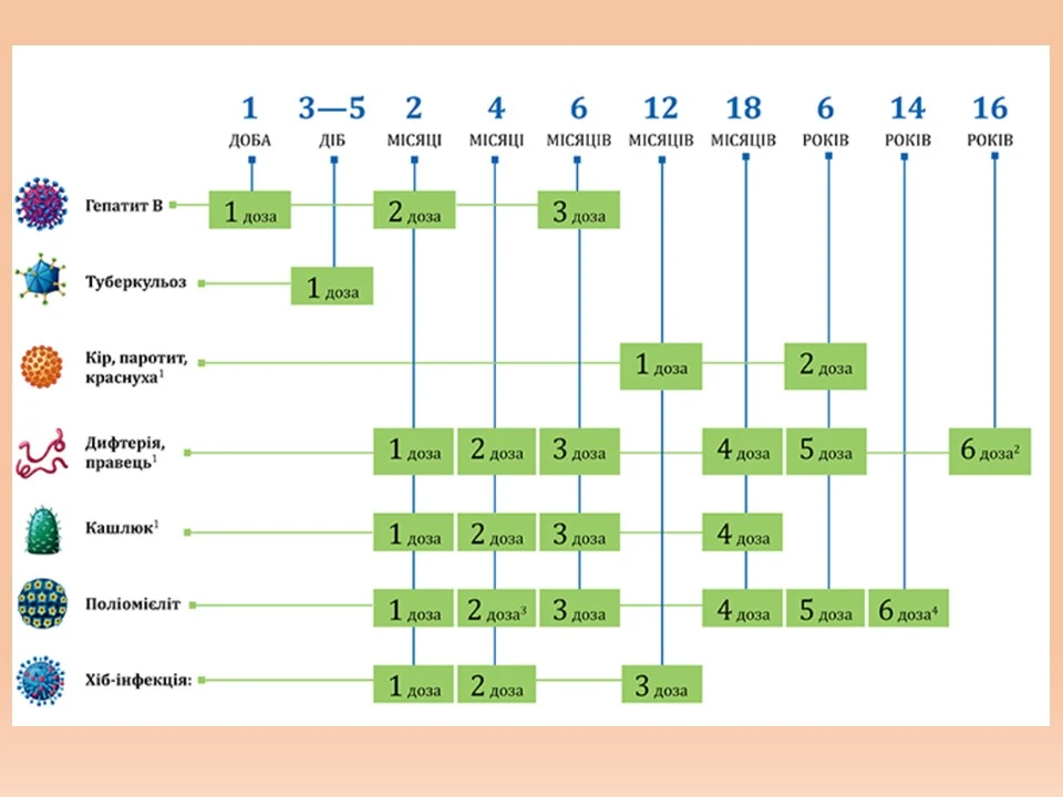 Календар профілактичних щеплень