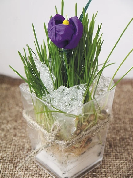 Крокуси з гофрованого паперу: майстер-клас для дітей Крокуси з гофрованого паперу — майстер-клас для дітей