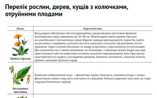 Створення безпечних умов у закладі дошкільної освіти Перелік рослин, дерев, кущів з колючками, отруйними плодами