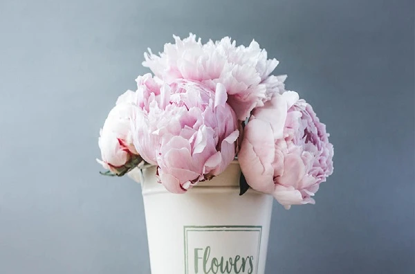 Поцілити в десятку!