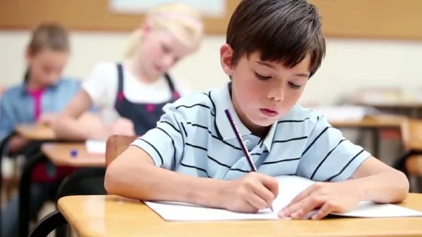 ДПА в 2024 році