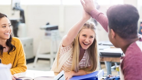 Створення мережі академічних ліцеїв